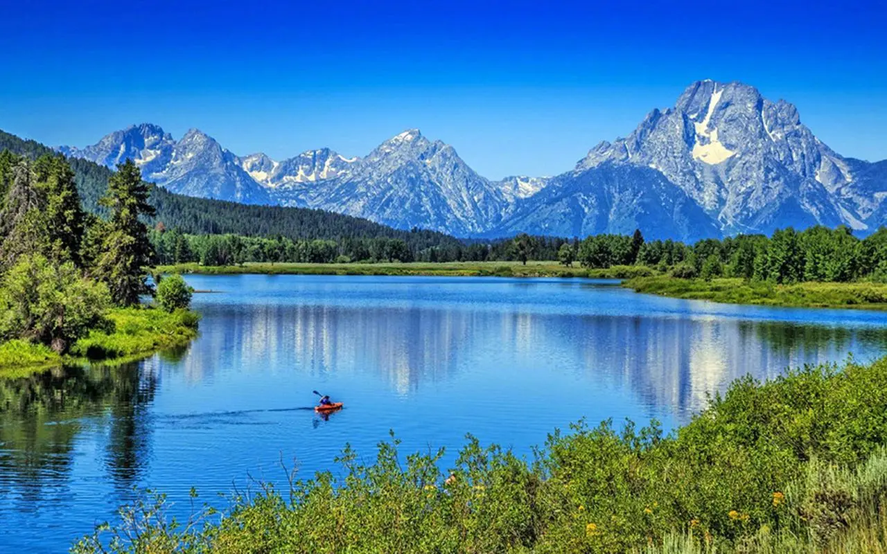 稳定性智能系统